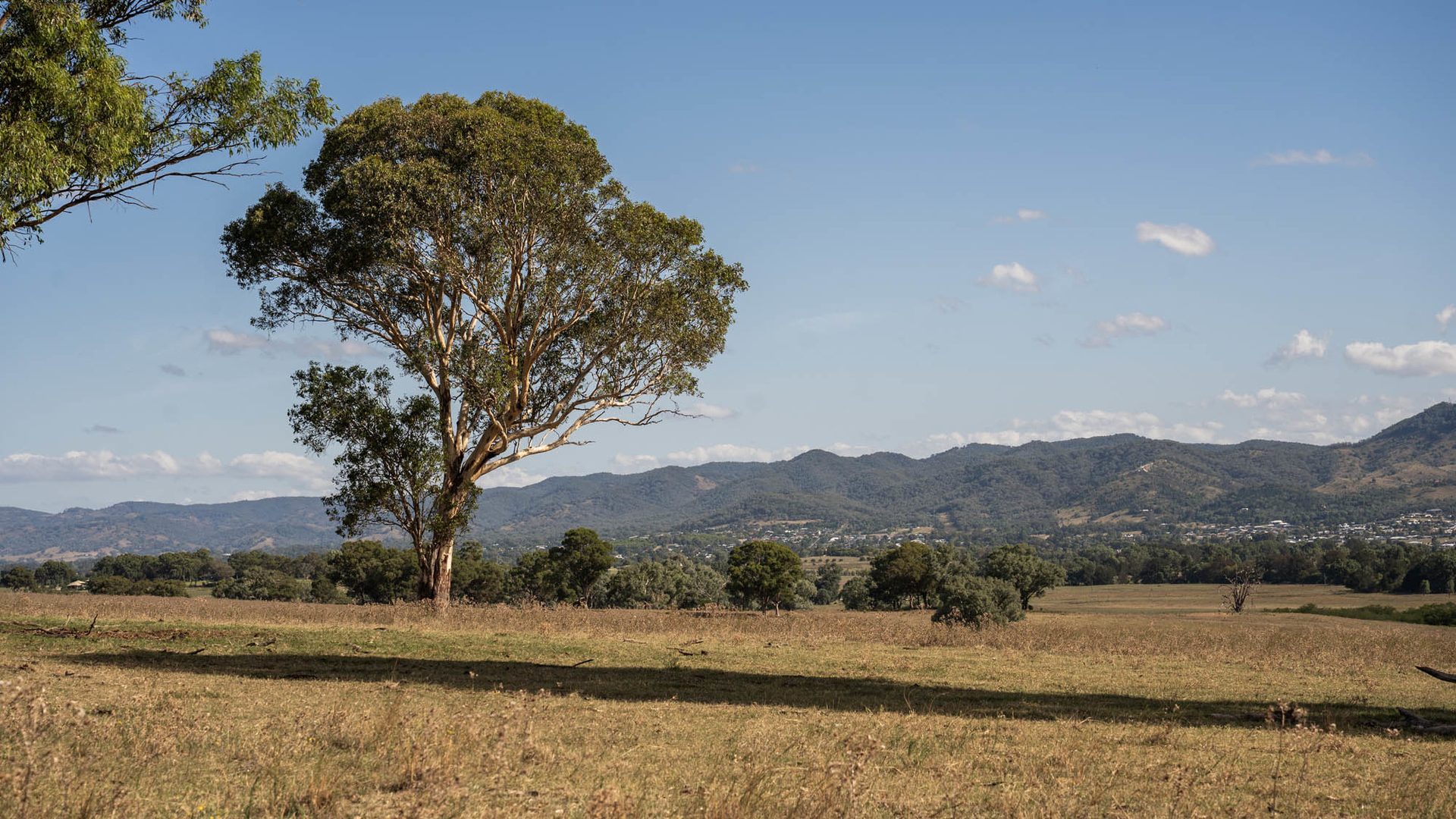 Sold - 321 Tinja Lane - New Property in Mudgee - Real Estate by Adam Woods