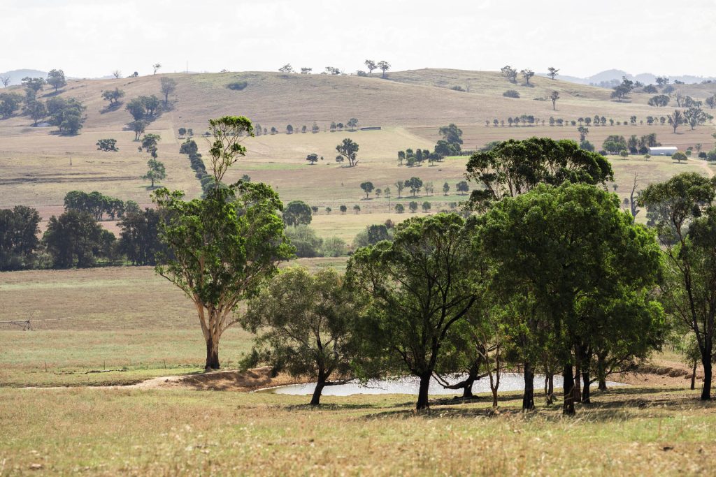Sold - 321 Tinja Lane - New Property in Mudgee - Real Estate by Adam Woods