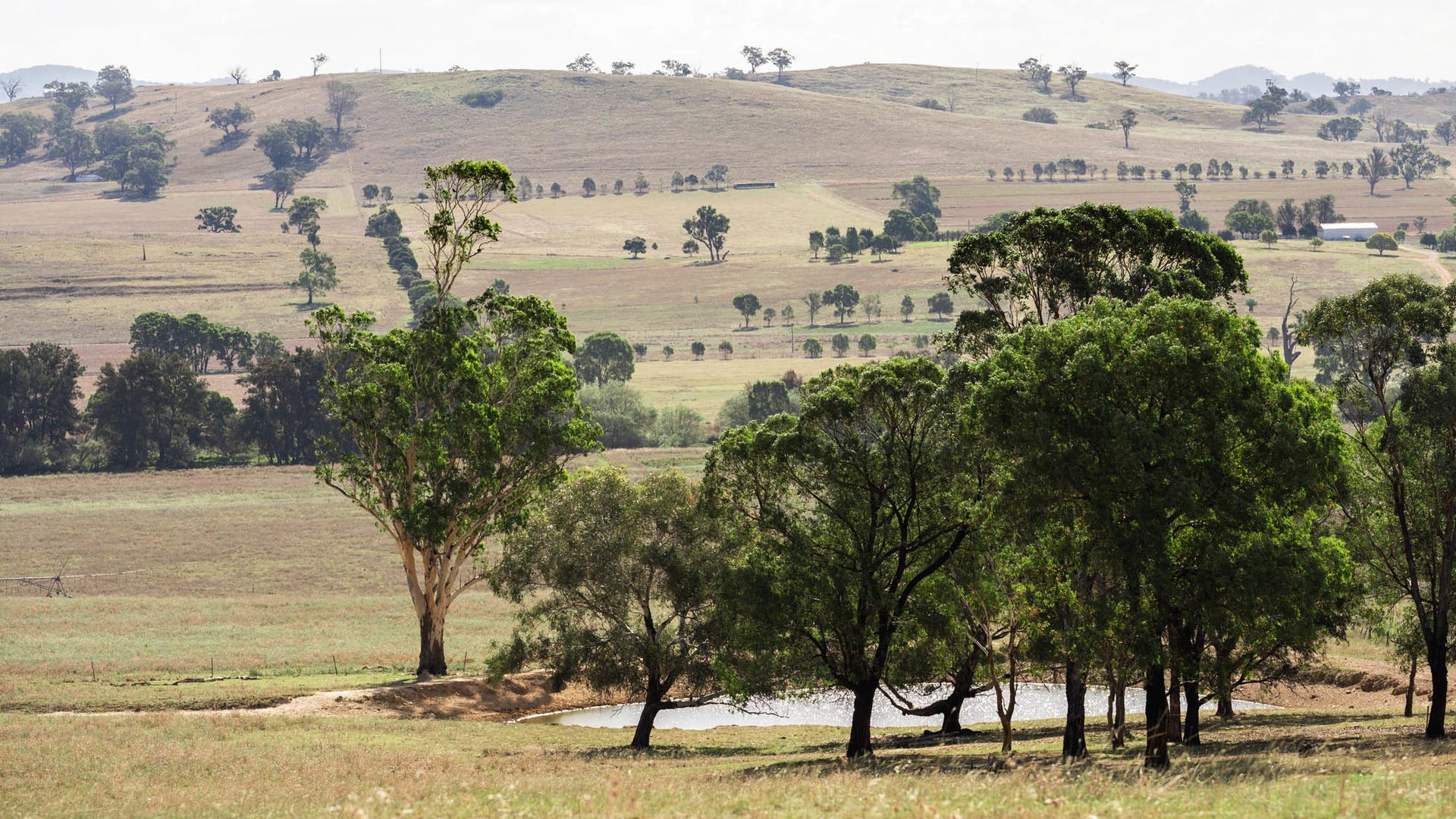 Sold - 321 Tinja Lane - New Property in Mudgee - Real Estate by Adam Woods