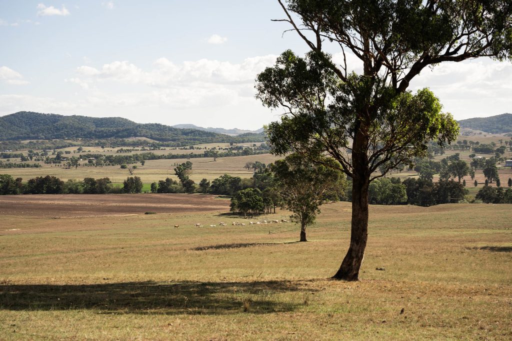 Sold - 321 Tinja Lane - New Property in Mudgee - Real Estate by Adam Woods