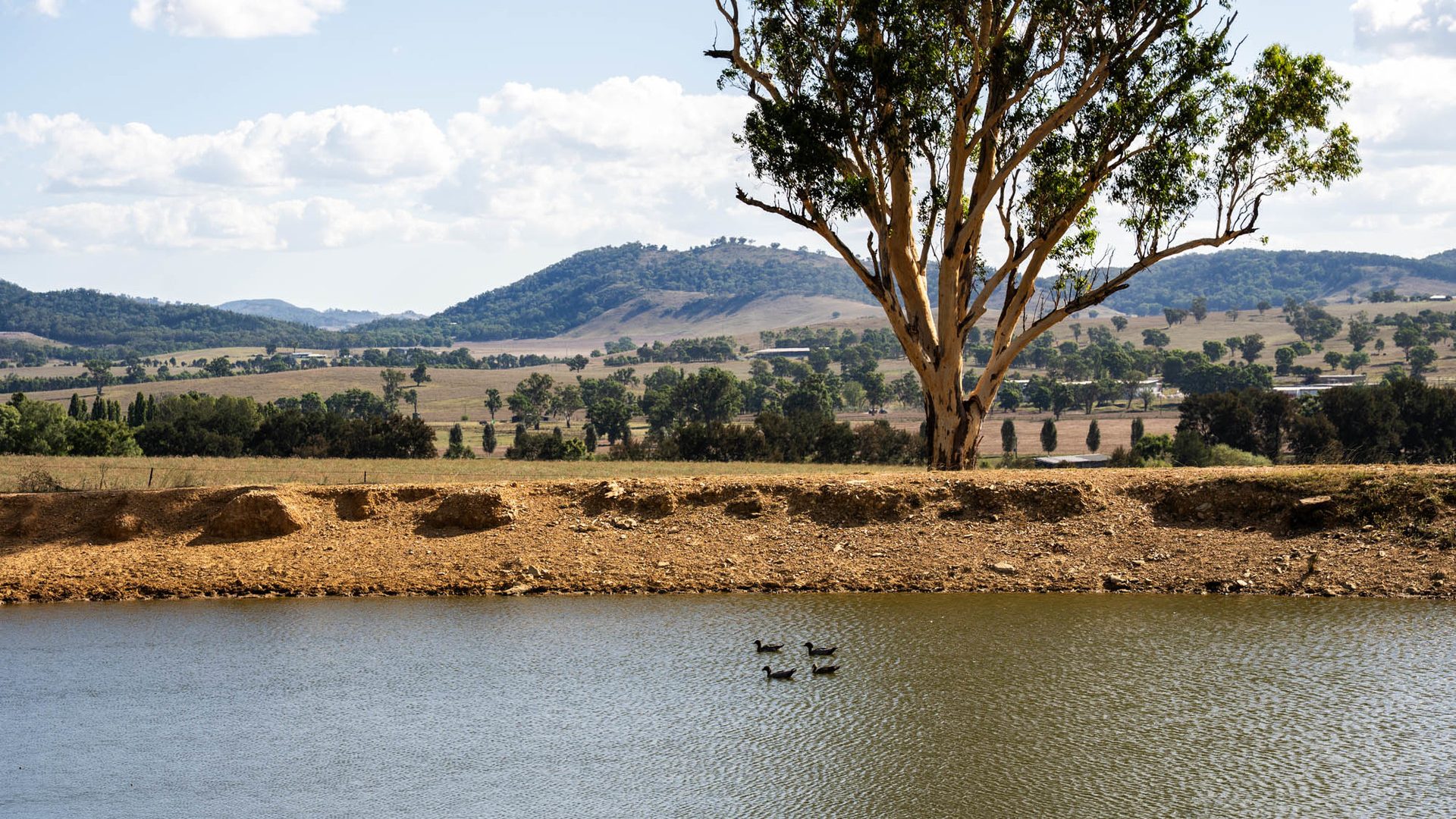 Sold - 321 Tinja Lane - New Property in Mudgee - Real Estate by Adam Woods