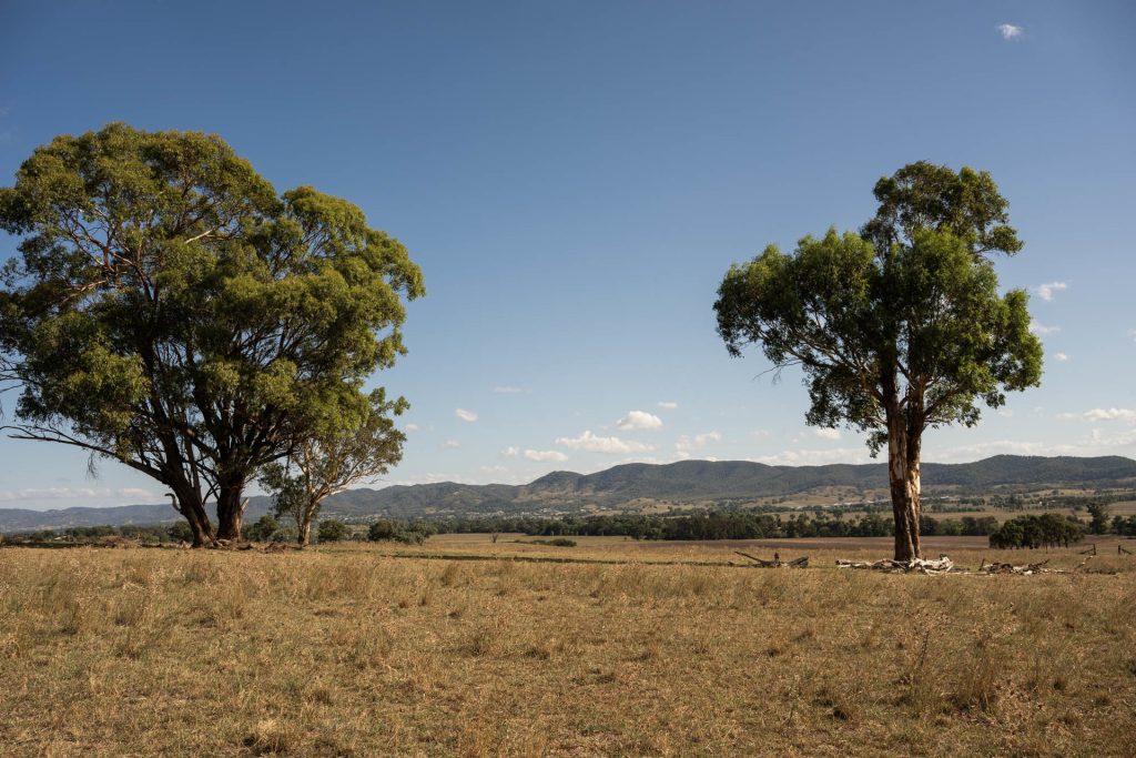 Sold - 321 Tinja Lane - New Property in Mudgee - Real Estate by Adam Woods