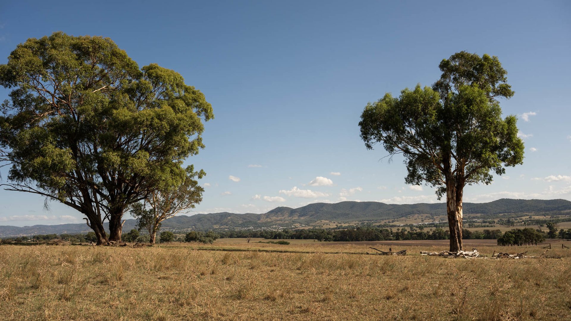 Sold - 321 Tinja Lane - New Property in Mudgee - Real Estate by Adam Woods