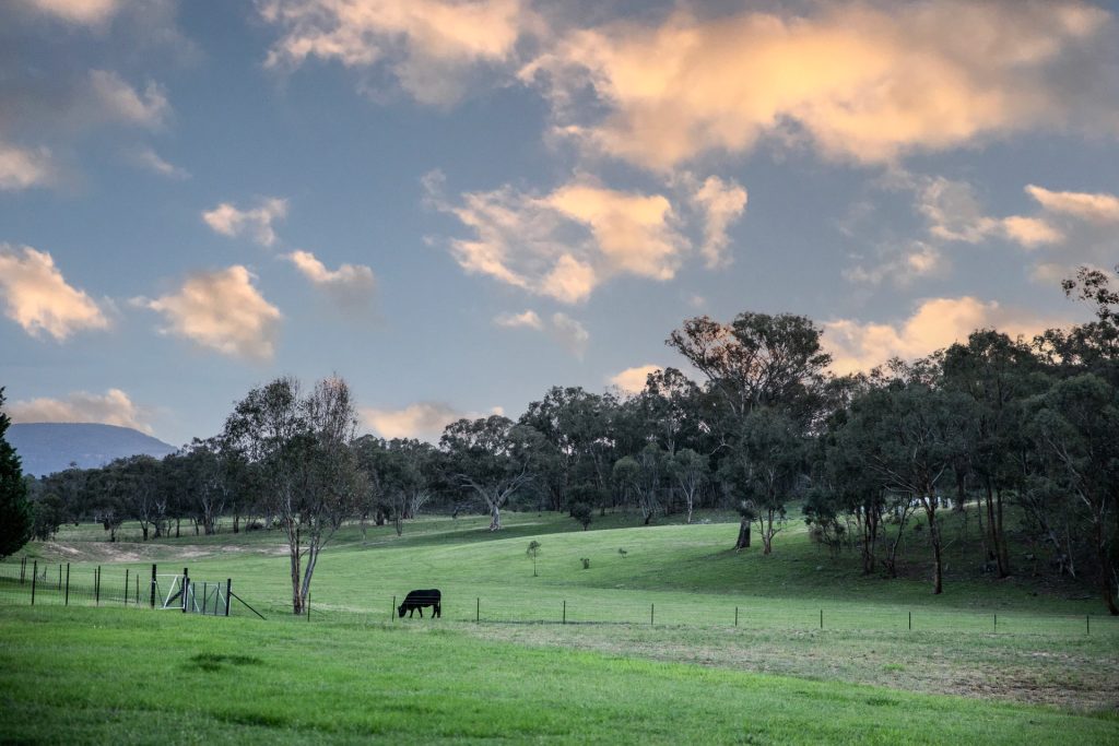 Sold - 35 Wisteria Cottage Lane - New Property in Rylstone - Real Estate by Elizabeth Turner