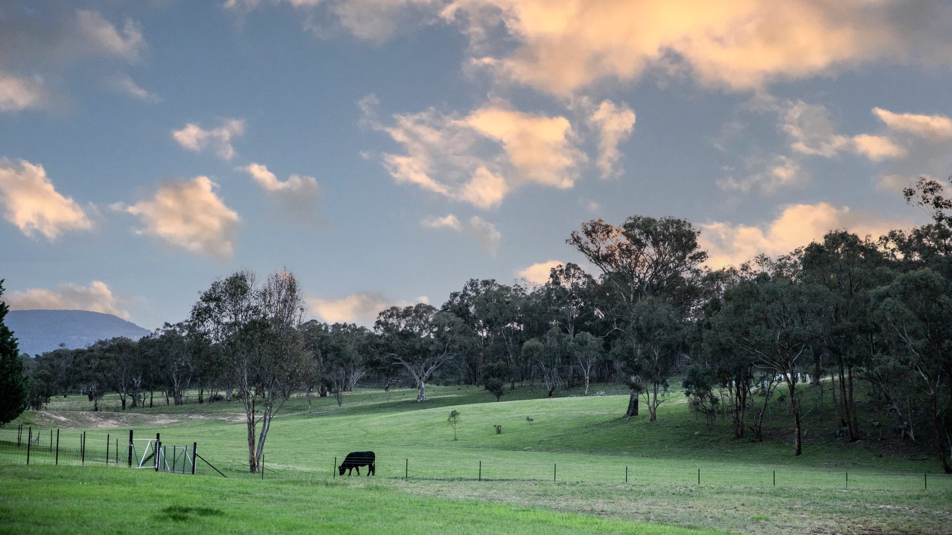 Sold - 35 Wisteria Cottage Lane - New Property in Rylstone - Real Estate by Elizabeth Turner