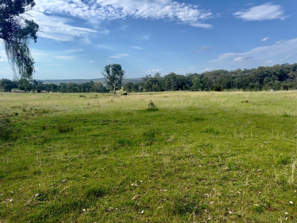Sold - 1383 Triamble Road - New Property in Mudgee - Real Estate by Stewart Adlington