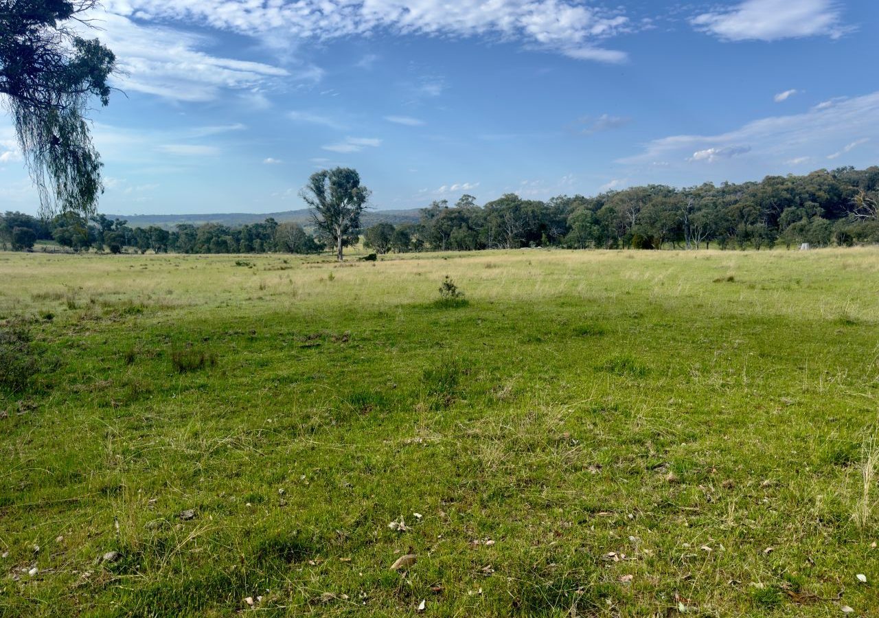Sold - 1383 Triamble Road - New Property in Mudgee - Real Estate by Stewart Adlington