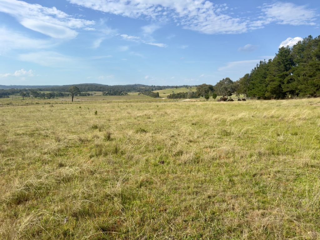 Sold - 1383 Triamble Road - New Property in Mudgee - Real Estate by Stewart Adlington