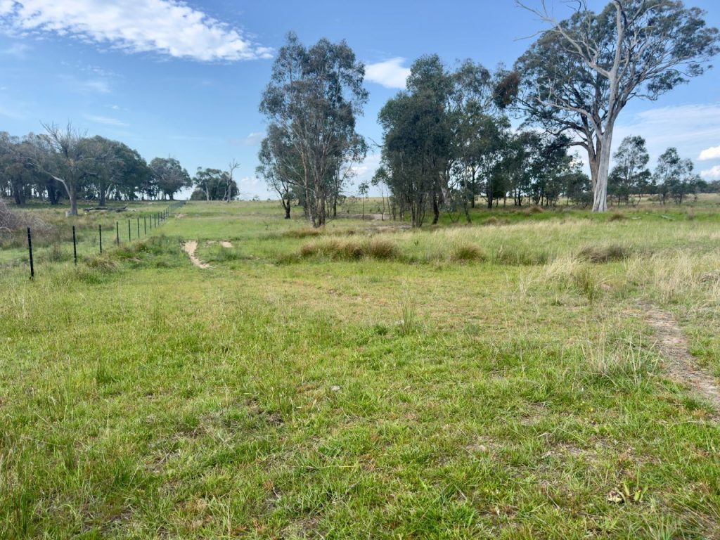 Sold - 1383 Triamble Road - New Property in Mudgee - Real Estate by Stewart Adlington