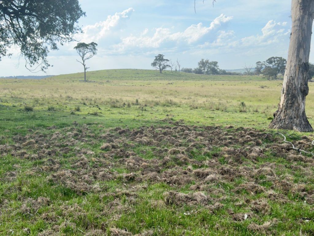 Sold - 1383 Triamble Road - New Property in Mudgee - Real Estate by Stewart Adlington