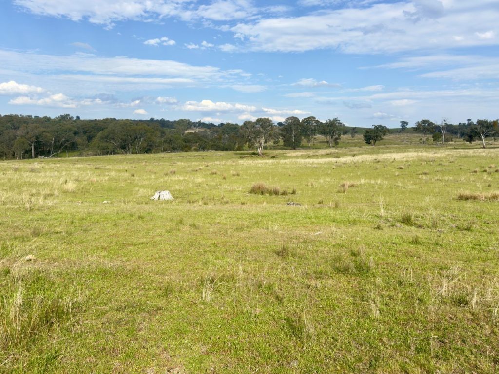Sold - 1383 Triamble Road - New Property in Mudgee - Real Estate by Stewart Adlington