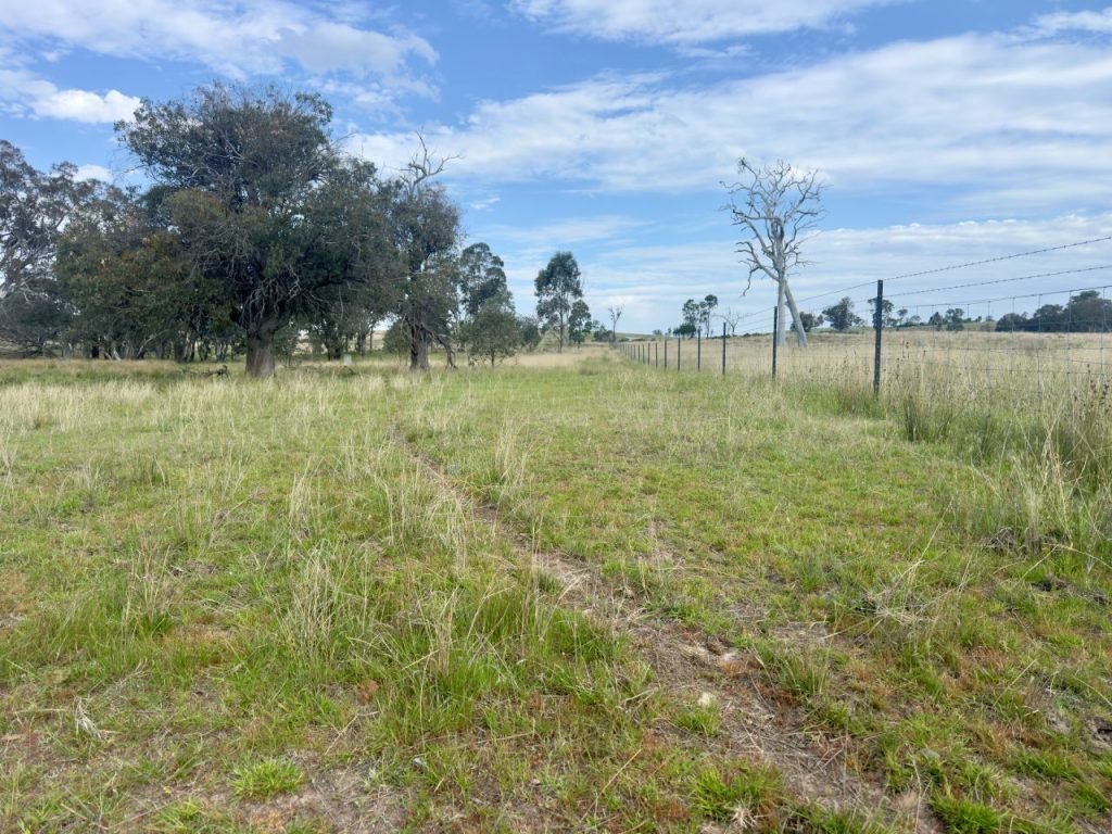 Sold - 1383 Triamble Road - New Property in Mudgee - Real Estate by Stewart Adlington