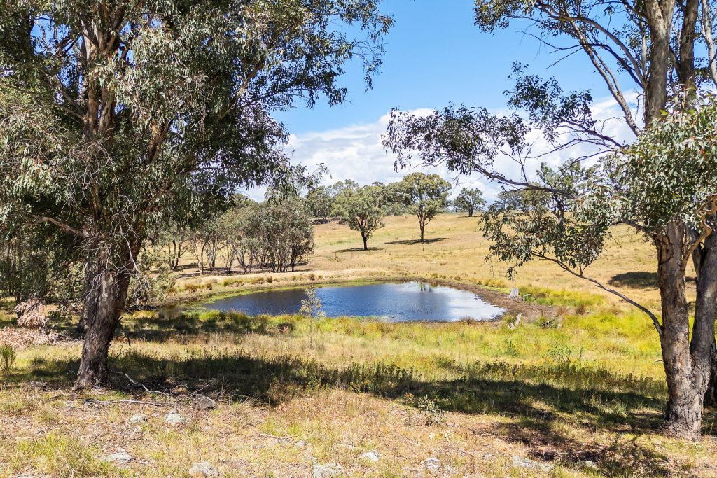 Sold - 240 Coxs Creek Road - New Property in Rylstone - Real Estate by Elizabeth Turner
