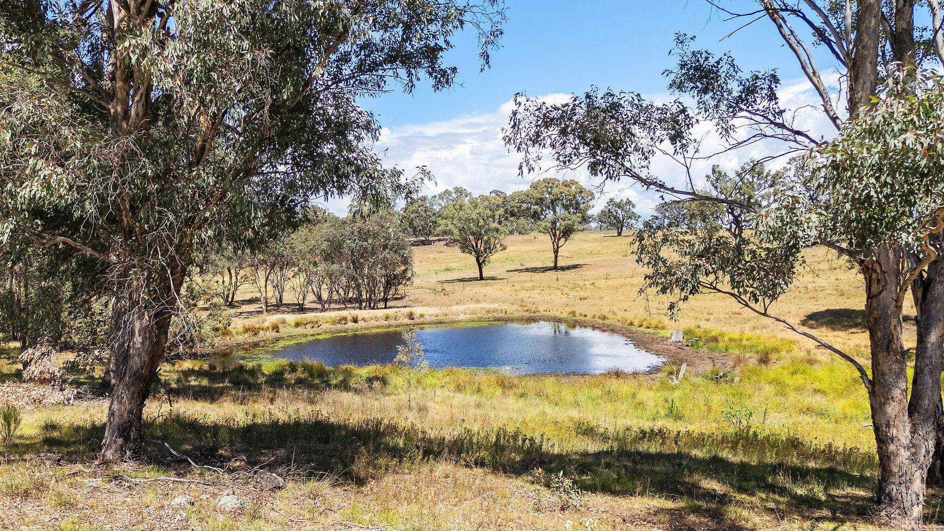 Sold - 240 Coxs Creek Road - New Property in Rylstone - Real Estate by Elizabeth Turner