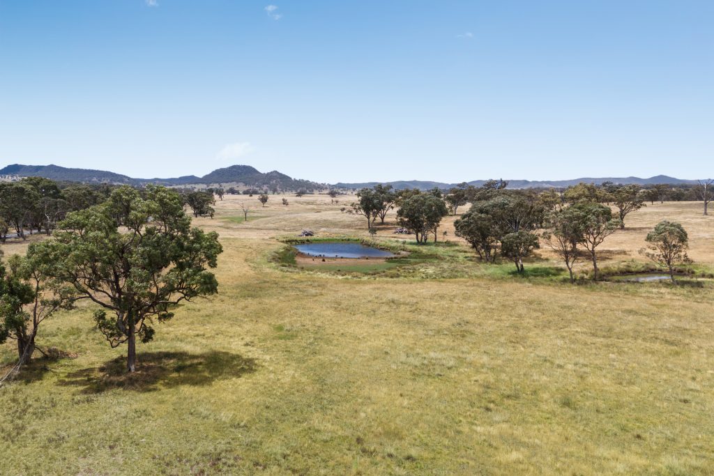 Sold - 240 Coxs Creek Road - New Property in Rylstone - Real Estate by Elizabeth Turner
