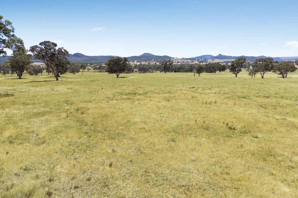 Sold - 240 Coxs Creek Road - New Property in Rylstone - Real Estate by Elizabeth Turner