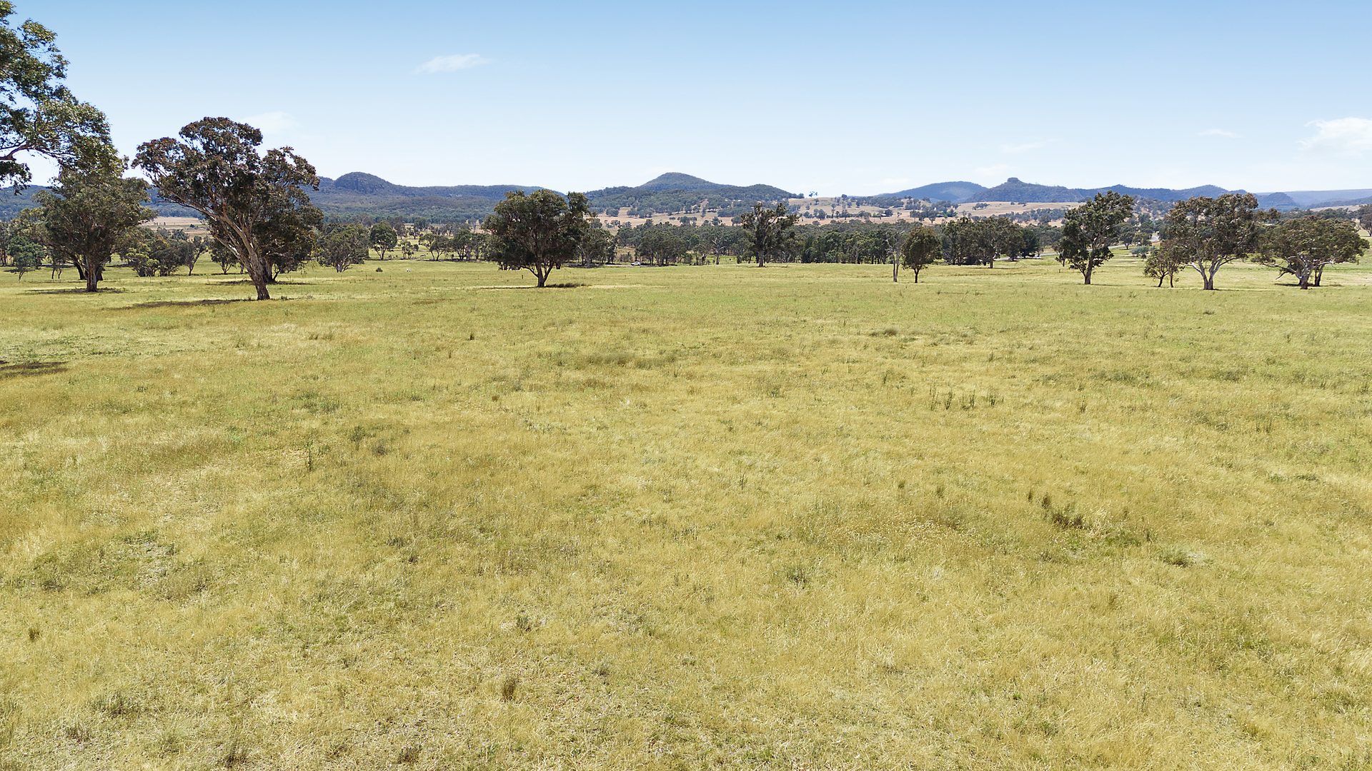Sold - 240 Coxs Creek Road - New Property in Rylstone - Real Estate by Elizabeth Turner