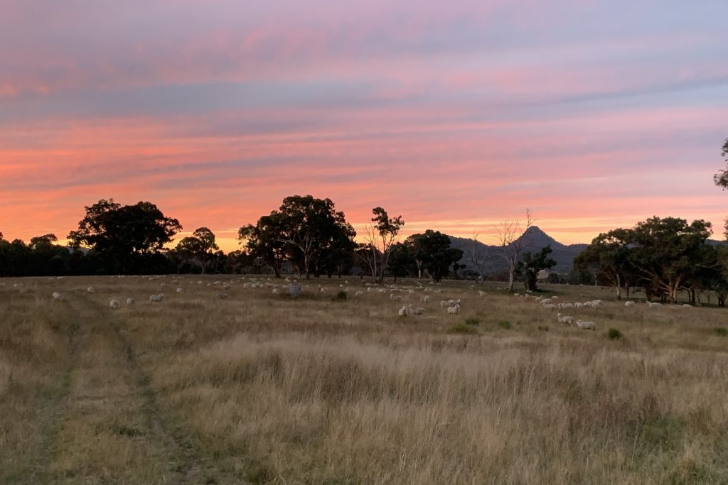 Sold - 240 Coxs Creek Road - New Property in Rylstone - Real Estate by Elizabeth Turner