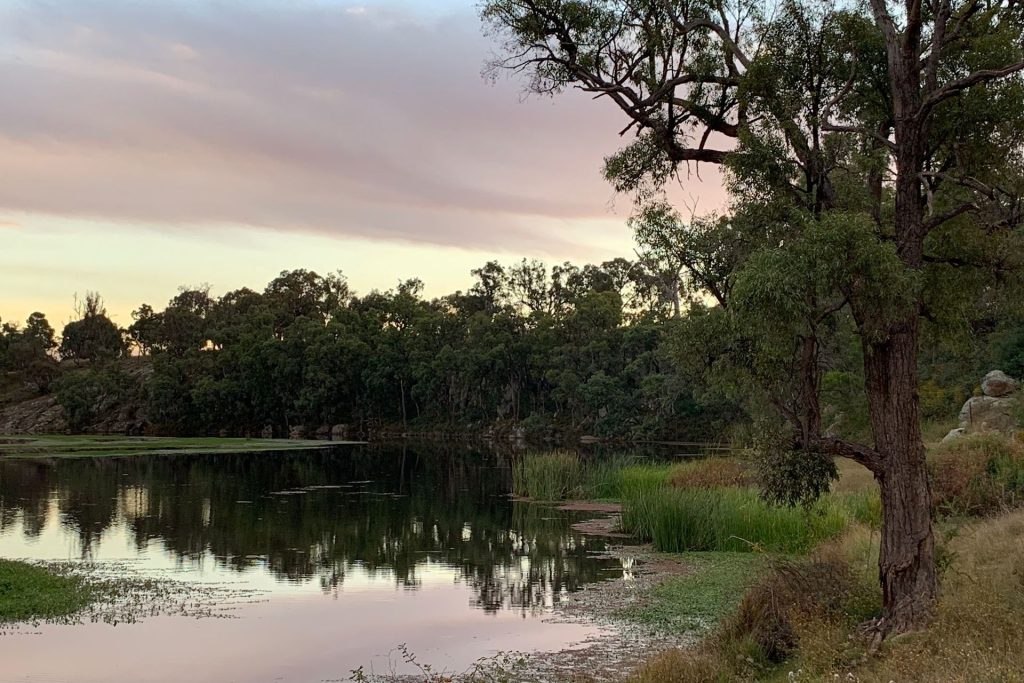 Sold - 240 Coxs Creek Road - New Property in Rylstone - Real Estate by Elizabeth Turner