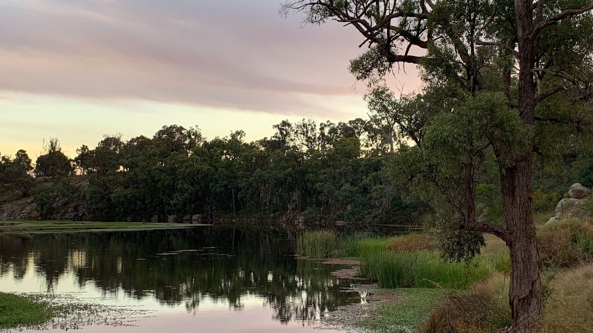 Sold - 240 Coxs Creek Road - New Property in Rylstone - Real Estate by Elizabeth Turner