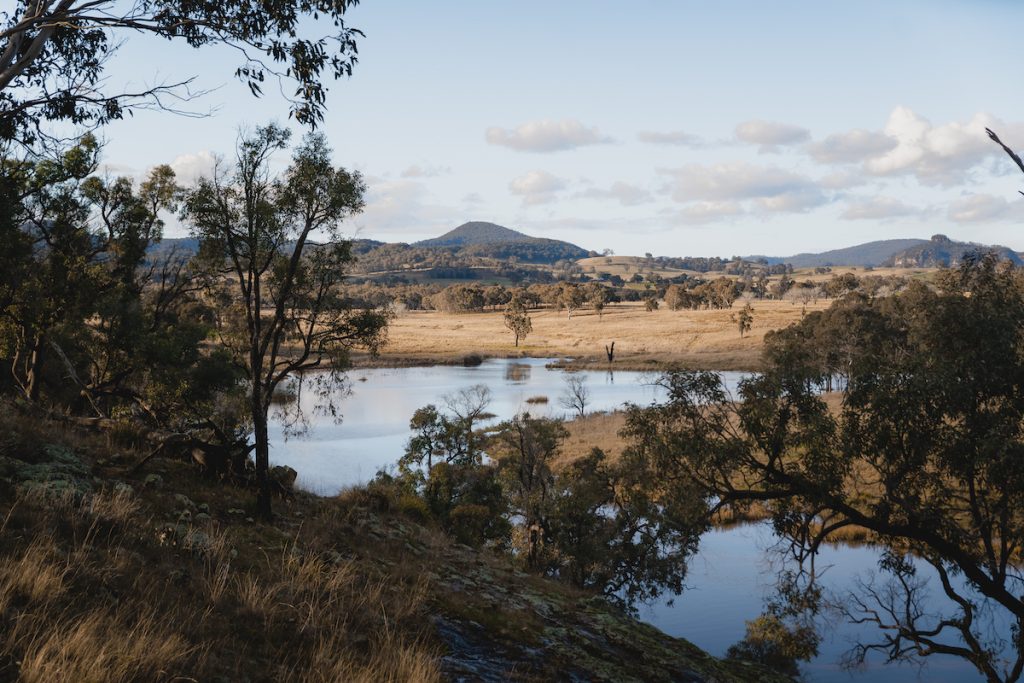 Sold - 240 Coxs Creek Road - New Property in Rylstone - Real Estate by Elizabeth Turner