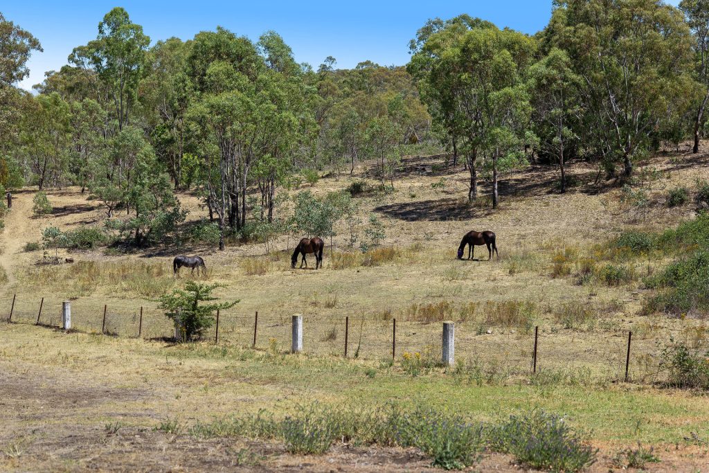 Sold - 4 Saville Row - New Property in Kandos - Real Estate by Elizabeth Turner