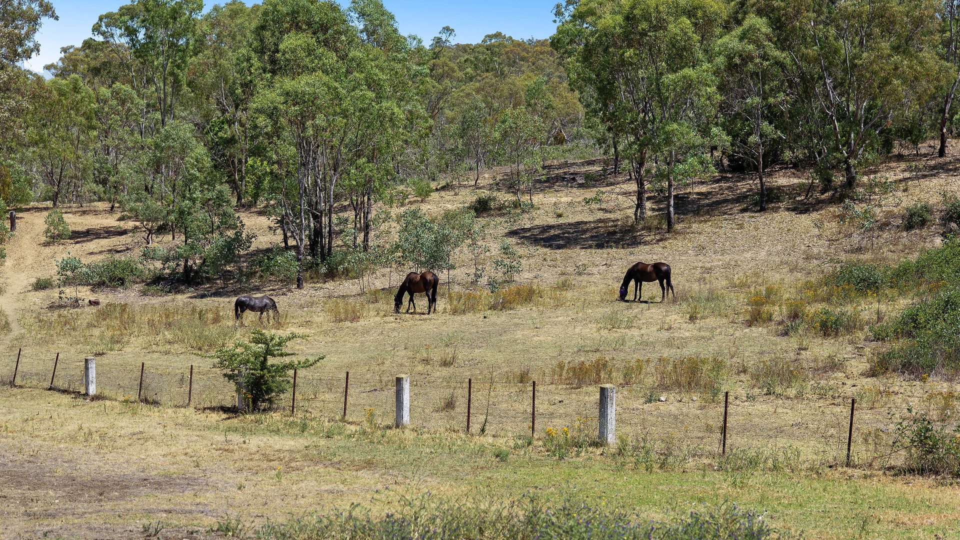 Sold - 4 Saville Row - New Property in Kandos - Real Estate by Elizabeth Turner
