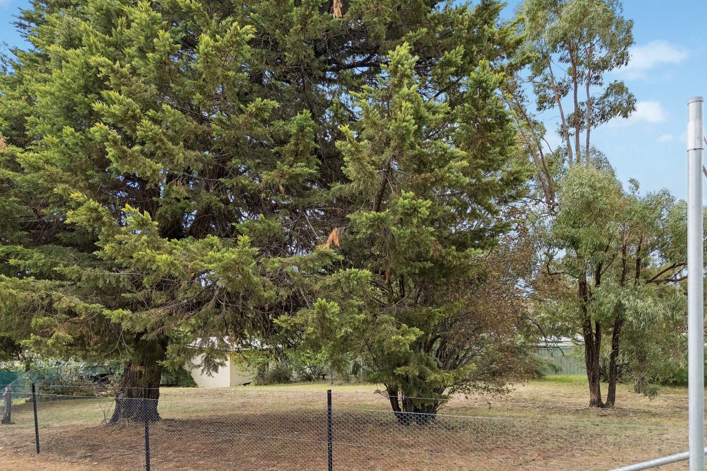 Sold - 14 Louee Street - New Property in Rylstone - Real Estate by  