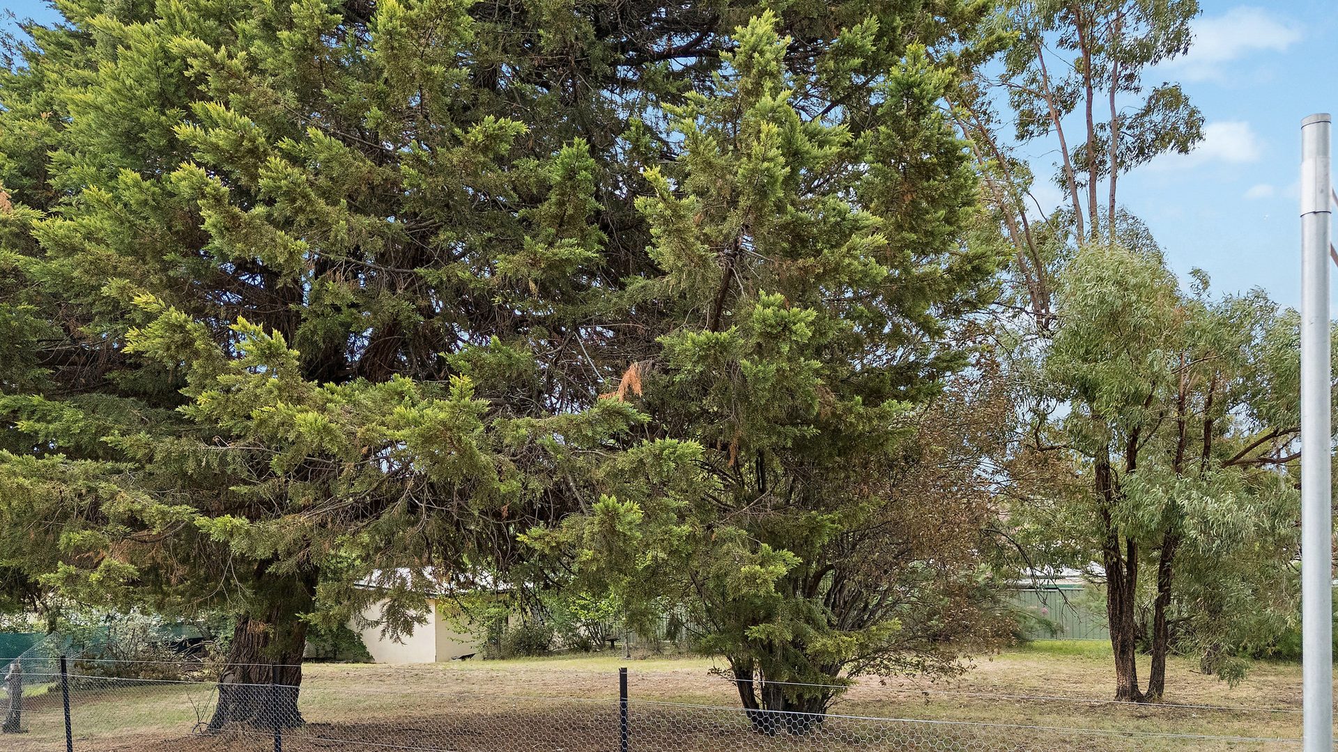 Sold - 14 Louee Street - New Property in Rylstone - Real Estate by  