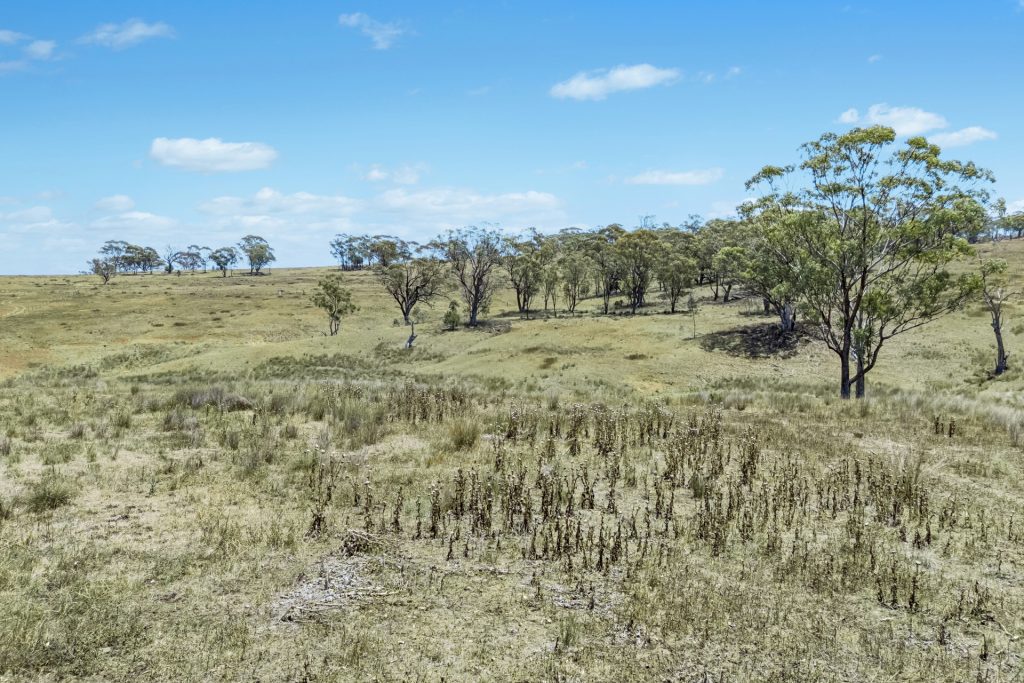 Sold - 234 Possum Springs Road - New Property in Merriwa - Real Estate by Stewart Adlington