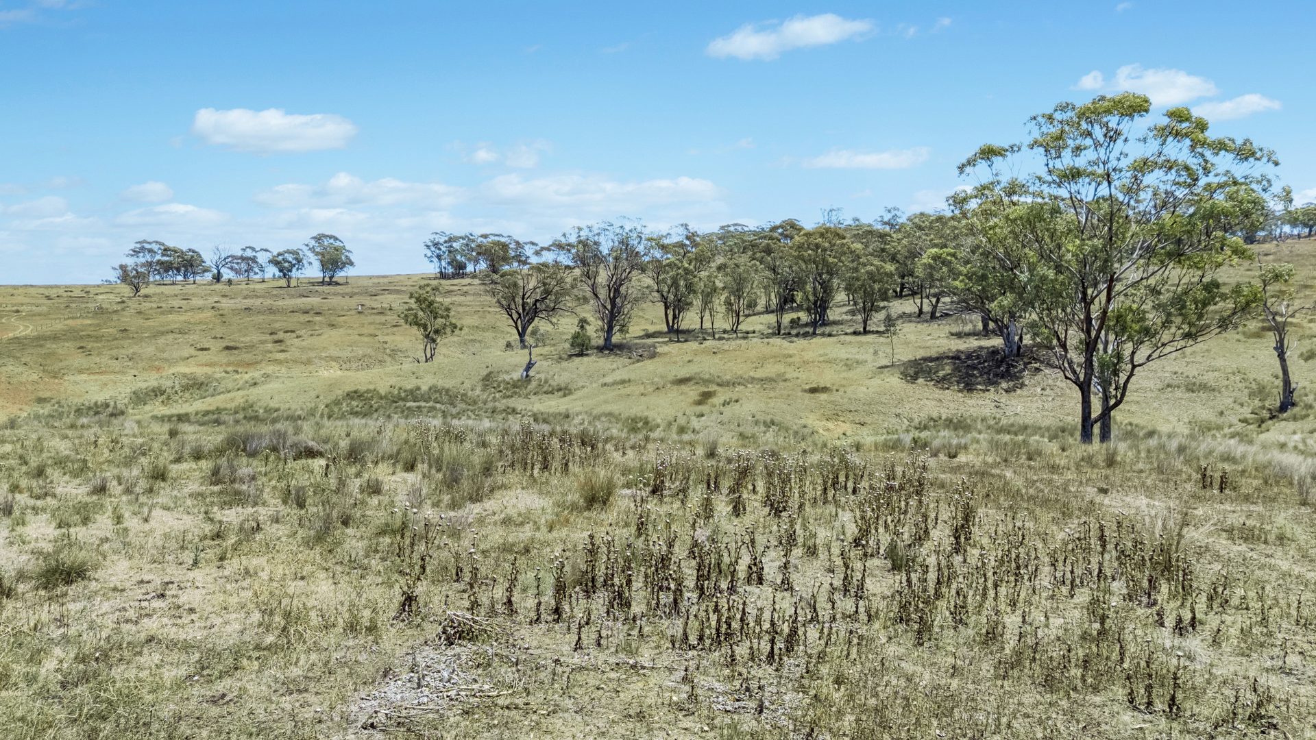 Sold - 234 Possum Springs Road - New Property in Merriwa - Real Estate by Stewart Adlington