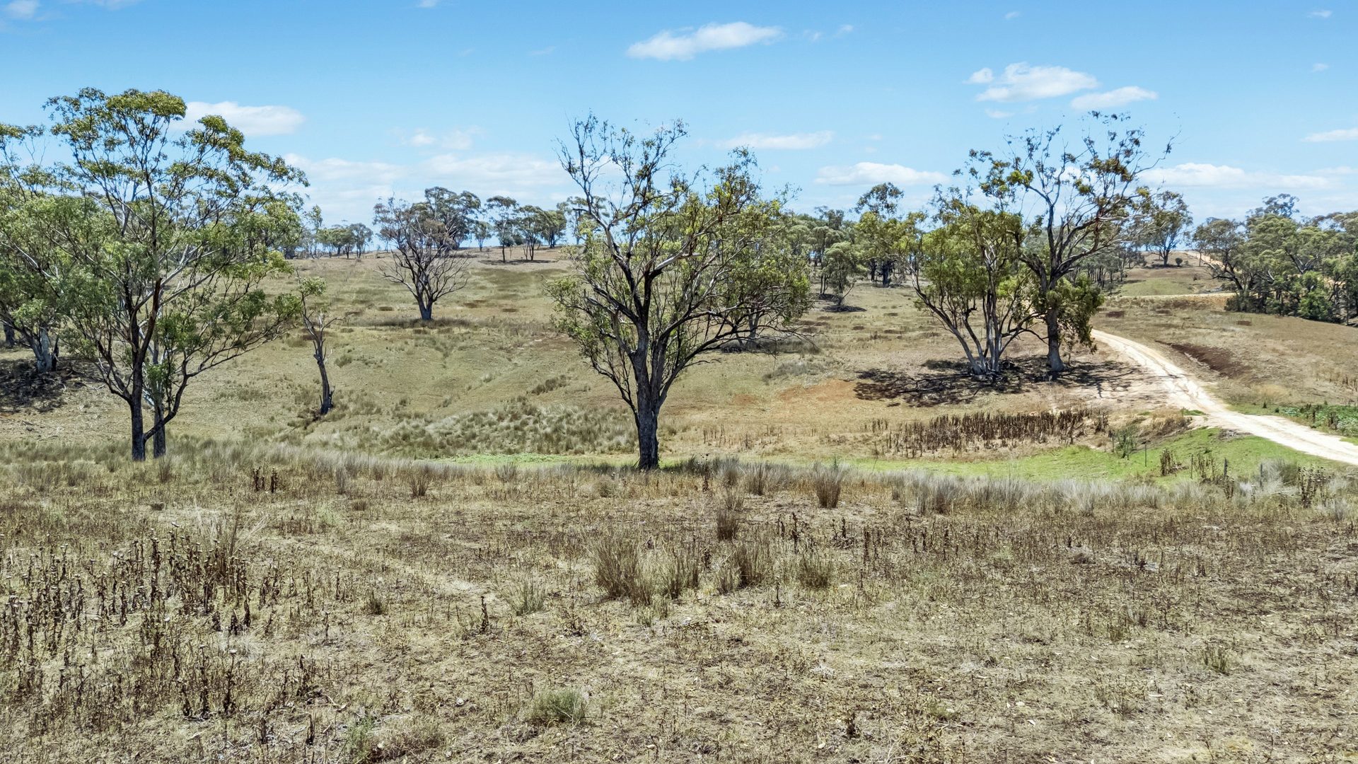 Sold - 234 Possum Springs Road - New Property in Merriwa - Real Estate by Stewart Adlington