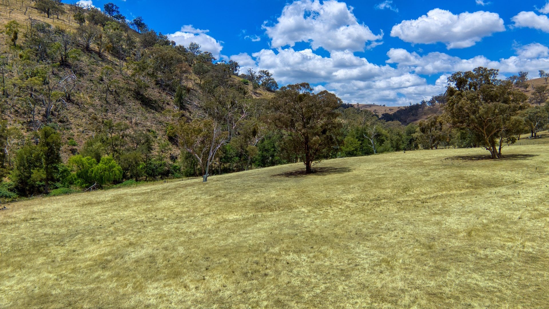 Sold - 4748 Ilford Sofala Road, Sofala - New Property in Bathurst - Real Estate by Stewart Adlington