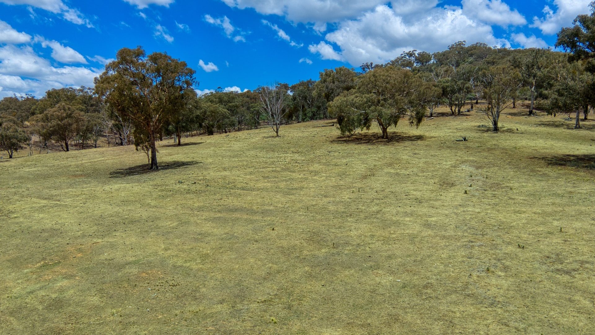 Sold - 4748 Ilford Sofala Road, Sofala - New Property in Bathurst - Real Estate by Stewart Adlington