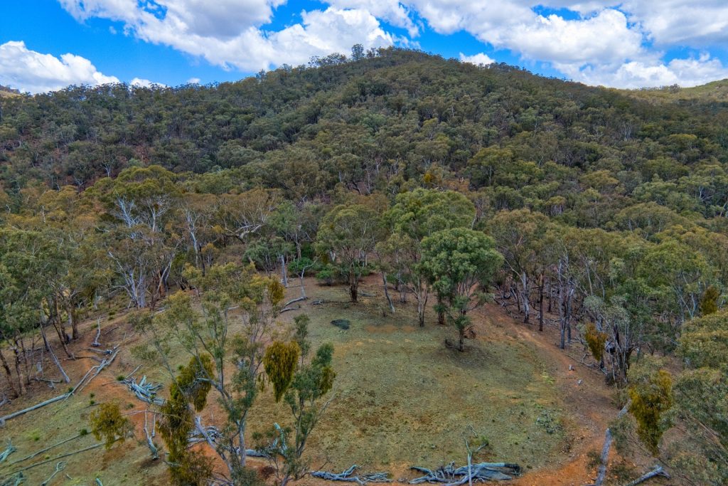 Sold - 4748 Ilford Sofala Road, Sofala - New Property in Bathurst - Real Estate by Stewart Adlington