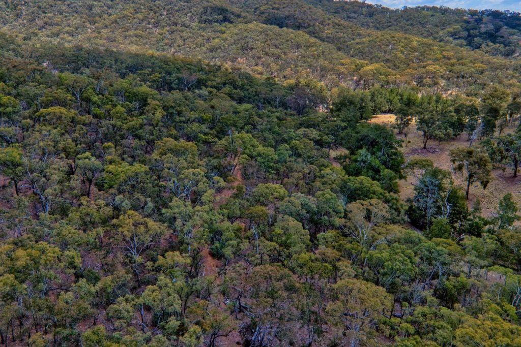 Sold - 4748 Ilford Sofala Road, Sofala - New Property in Bathurst - Real Estate by Stewart Adlington