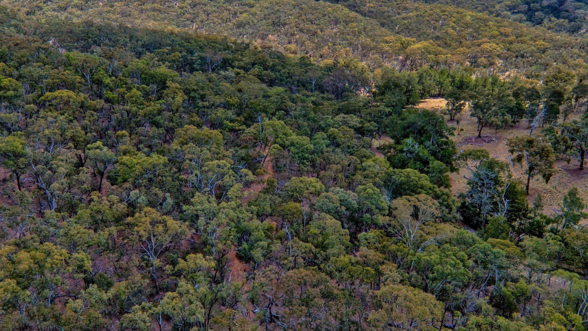 Sold - 4748 Ilford Sofala Road, Sofala - New Property in Bathurst - Real Estate by Stewart Adlington