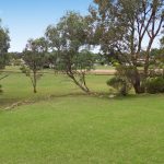 Lot 1/86 Carwell Street Rylstone NSW 2849 AUS