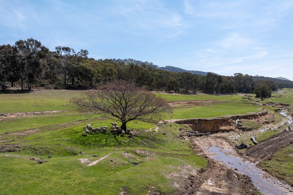 Sold -  Lots 134 & 135, 82 Windgraves Road - New Property in Mudgee - Real Estate by Adam Woods