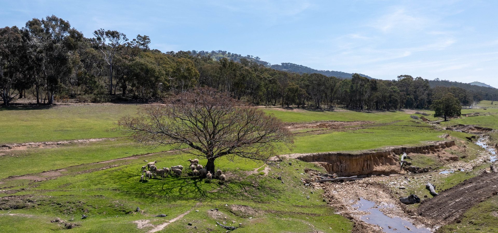 Sold -  Lots 134 & 135, 82 Windgraves Road - New Property in Mudgee - Real Estate by Adam Woods