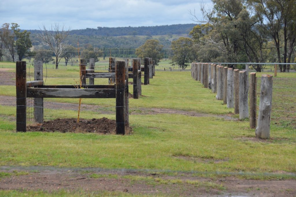 Sold - 1920 Castlereagh Highway - New Property in Dunedoo - Real Estate by Stewart Adlington
