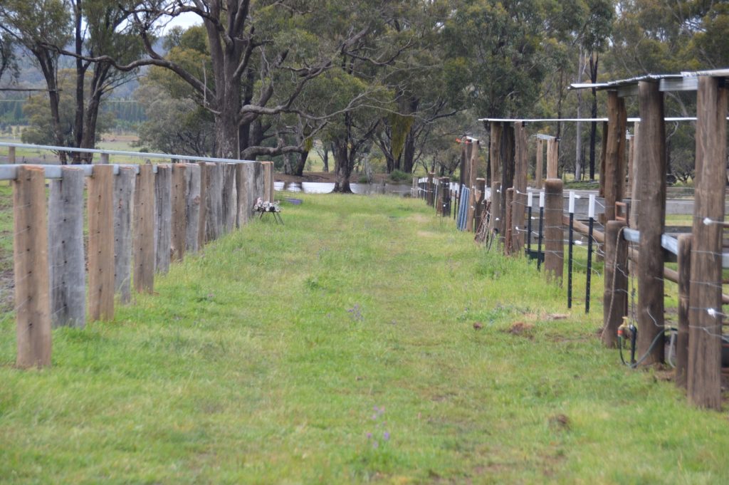 Sold - 1920 Castlereagh Highway - New Property in Dunedoo - Real Estate by Stewart Adlington