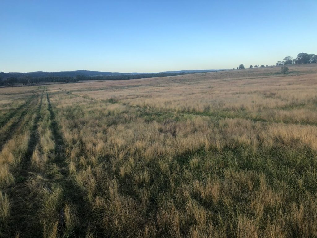 Sold - 1920 Castlereagh Highway - New Property in Dunedoo - Real Estate by Stewart Adlington