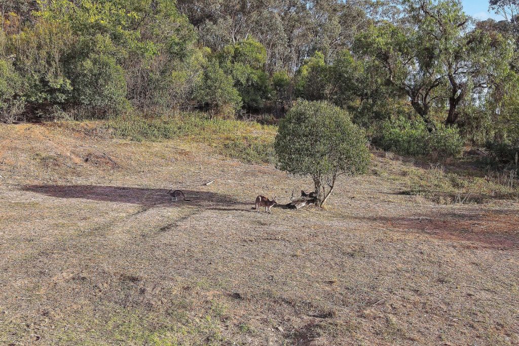For Sale - 78 Waterworks Road - New Property in Mudgee - Real Estate by Stewart Adlington
