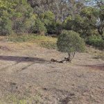 78 Waterworks Road Mudgee NSW 2850 AUS