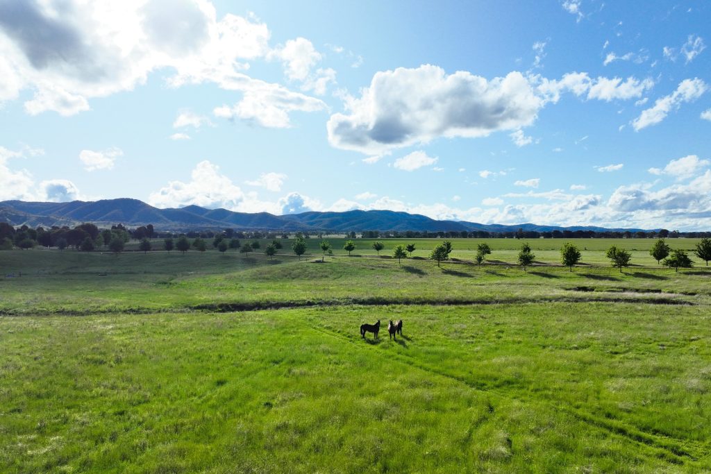 For Sale - Lot 1, 312 Castlereagh Highway - New Property in Mudgee - Real Estate by Adam Woods