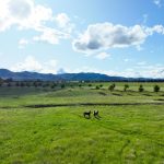 Lot 1, 312 Castlereagh Highway Mudgee NSW 2850 AUS