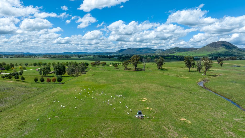 For Sale - Lot 1, 312 Castlereagh Highway - New Property in Mudgee - Real Estate by Adam Woods