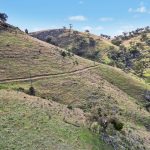 2/1193 Yarrabin Road Mudgee NSW 2850 AUS