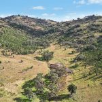 2/1193 Yarrabin Road Mudgee NSW 2850 AUS
